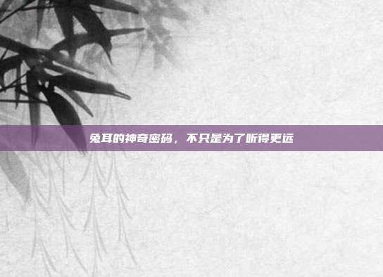 兔耳的神奇密码，不只是为了听得更远