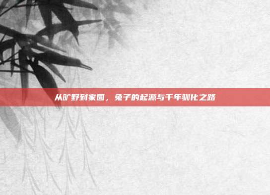 从旷野到家园，兔子的起源与千年驯化之路