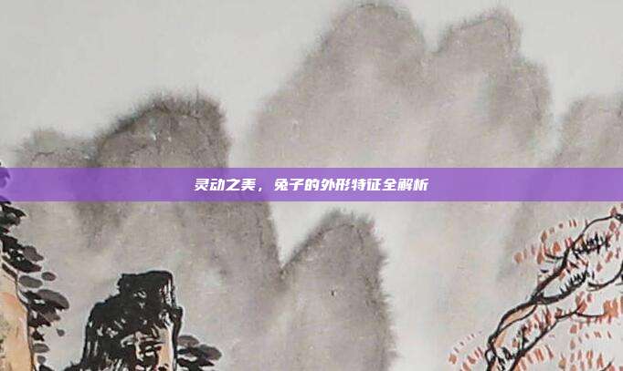 灵动之美，兔子的外形特征全解析