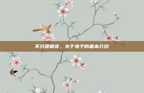 不只是萌宠，关于兔子的基本介绍