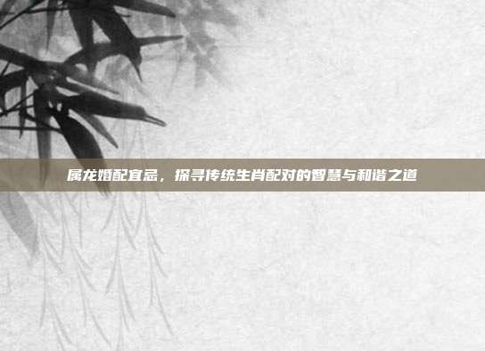 属龙婚配宜忌，探寻传统生肖配对的智慧与和谐之道