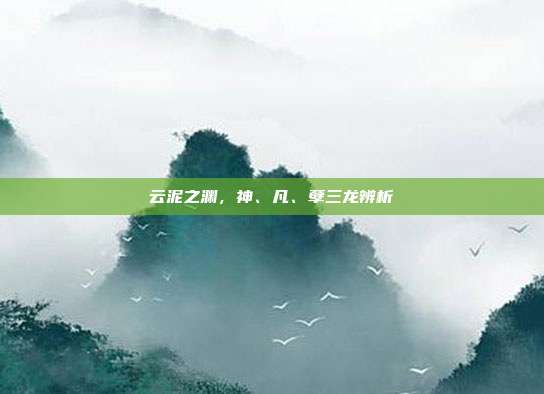 云泥之渊，神、凡、孽三龙辨析