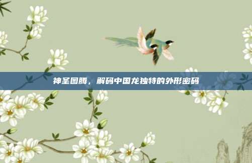 神圣图腾，解码中国龙独特的外形密码