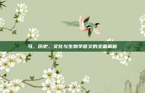 马，历史、文化与生物学意义的全面解析