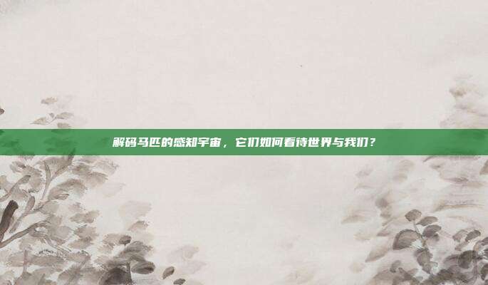 解码马匹的感知宇宙，它们如何看待世界与我们？