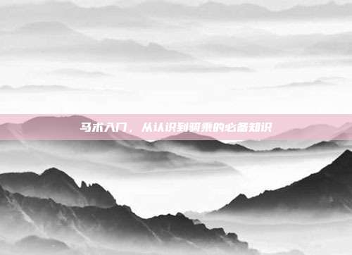 马术入门，从认识到骑乘的必备知识