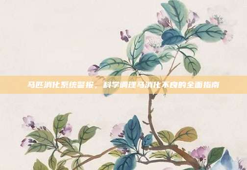 马匹消化系统警报，科学调理马消化不良的全面指南