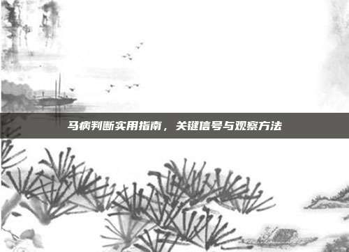 马病判断实用指南，关键信号与观察方法