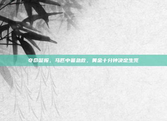 夺命警报，马匹中暑急救，黄金十分钟决定生死