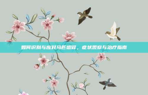 如何识别与应对马匹感冒，症状观察与治疗指南