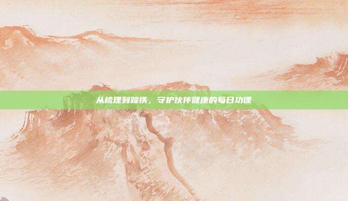 从梳理到蹄铁，守护伙伴健康的每日功课