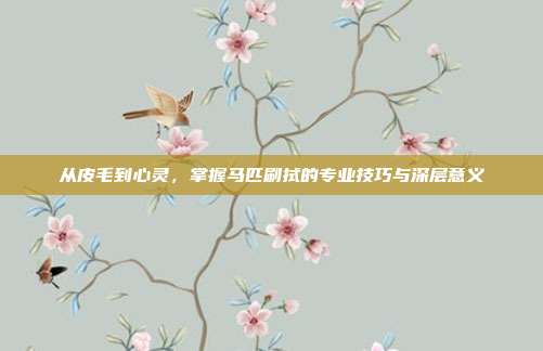 从皮毛到心灵，掌握马匹刷拭的专业技巧与深层意义