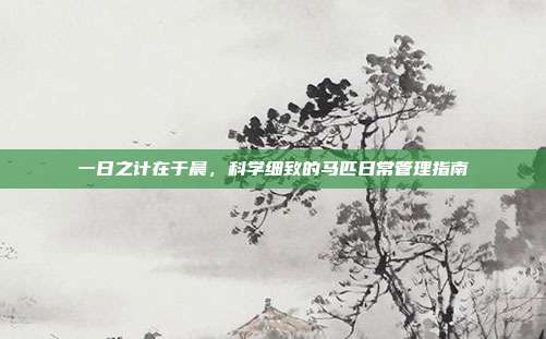一日之计在于晨，科学细致的马匹日常管理指南