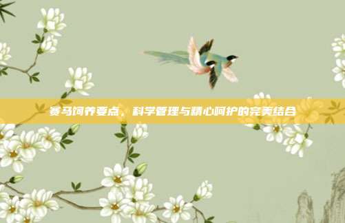 赛马饲养要点，科学管理与精心呵护的完美结合