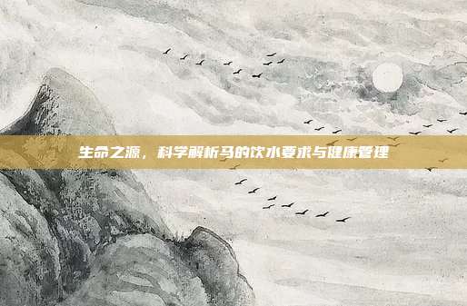 生命之源，科学解析马的饮水要求与健康管理