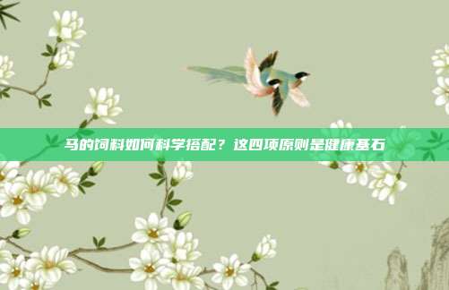 马的饲料如何科学搭配？这四项原则是健康基石