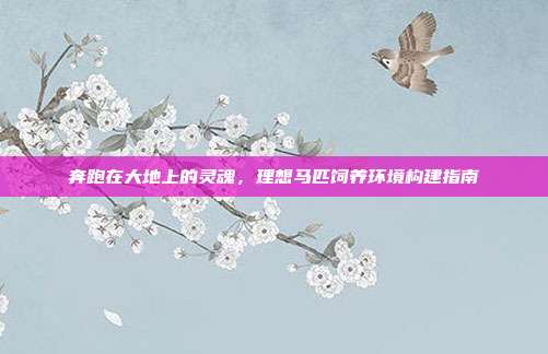 奔跑在大地上的灵魂，理想马匹饲养环境构建指南