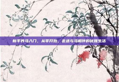 新手养马入门，从零开始，走进与马相伴的优雅生活