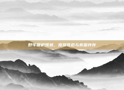 野牛保护现状，岌岌可危与希望并存
