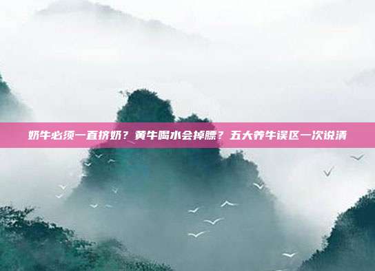 奶牛必须一直挤奶？黄牛喝水会掉膘？五大养牛误区一次说清