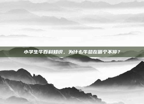 小学生牛百科知识，为什么牛总在嚼个不停？