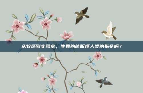 从牧场到实验室，牛真的能听懂人类的指令吗？