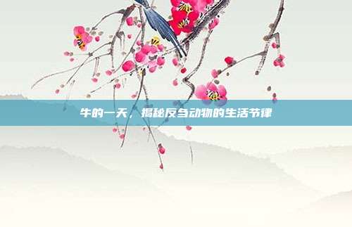 牛的一天，揭秘反刍动物的生活节律