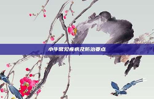 小牛常见疾病及防治要点
