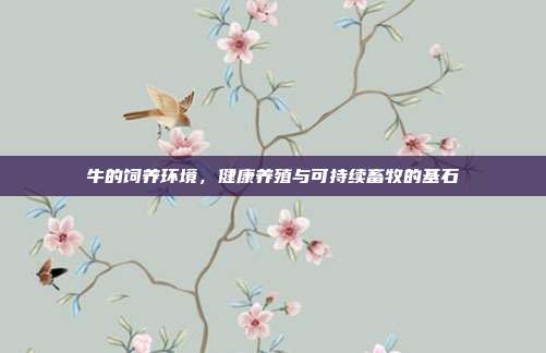 牛的饲养环境，健康养殖与可持续畜牧的基石