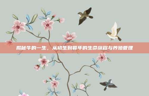 揭秘牛的一生，从初生到暮年的生命旅程与养殖管理