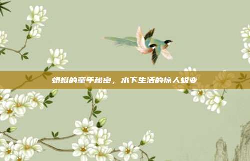 蜻蜓的童年秘密，水下生活的惊人蜕变