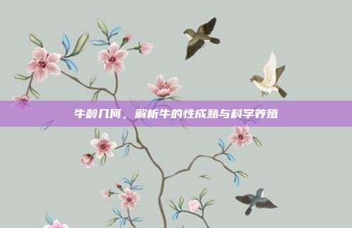 牛龄几何，解析牛的性成熟与科学养殖