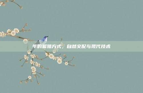 牛的繁殖方式，自然交配与现代技术