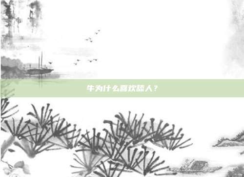 牛为什么喜欢舔人？