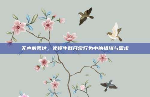 无声的表达，读懂牛群日常行为中的情绪与需求