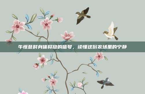 牛惬意时身体释放的信号，读懂这份农场里的宁静