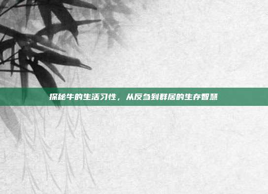 探秘牛的生活习性，从反刍到群居的生存智慧