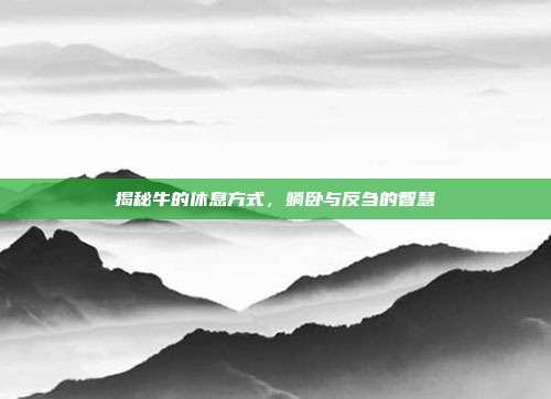 揭秘牛的休息方式，躺卧与反刍的智慧