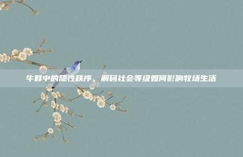 牛群中的隐性秩序，解码社会等级如何影响牧场生活