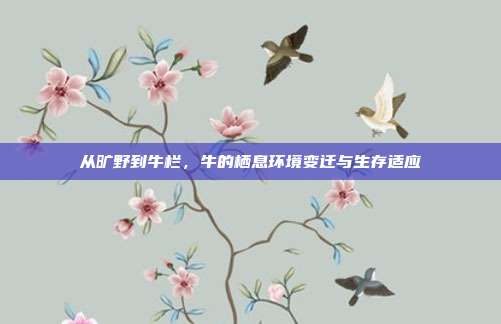 从旷野到牛栏，牛的栖息环境变迁与生存适应