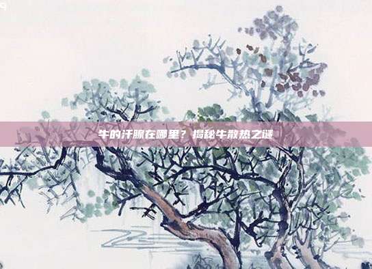 牛的汗腺在哪里？揭秘牛散热之谜