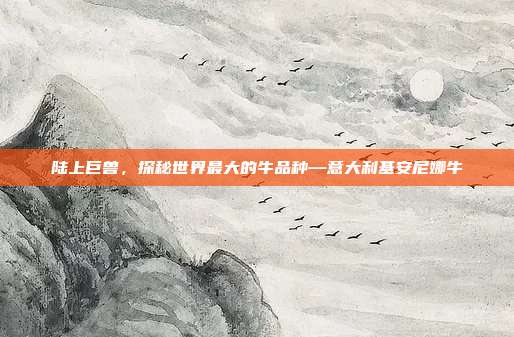 陆上巨兽，探秘世界最大的牛品种—意大利基安尼娜牛