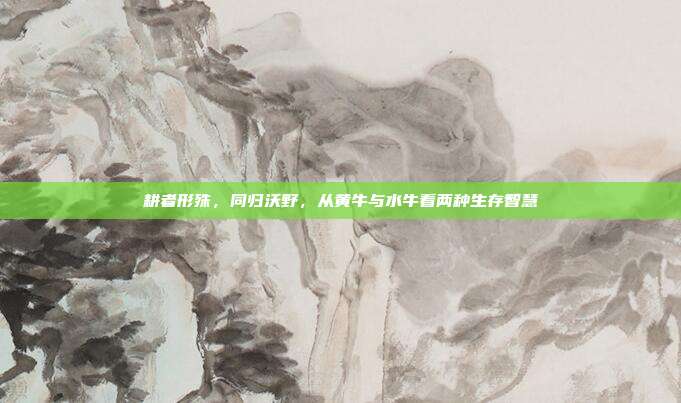 耕者形殊，同归沃野，从黄牛与水牛看两种生存智慧