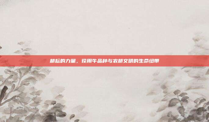耕耘的力量，役用牛品种与农耕文明的生命纽带