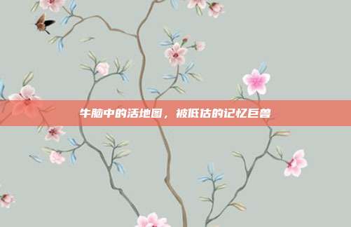 牛脑中的活地图，被低估的记忆巨兽