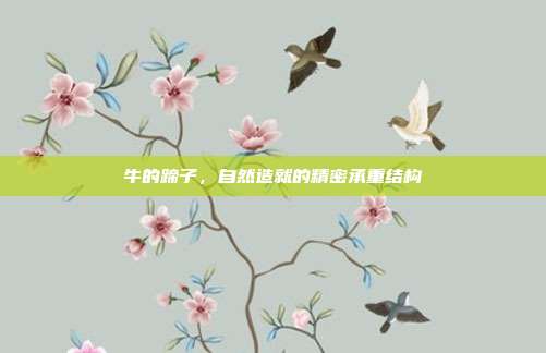 牛的蹄子，自然造就的精密承重结构