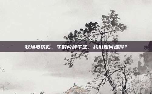 牧场与铁栏，牛的两种牛生，我们如何选择？