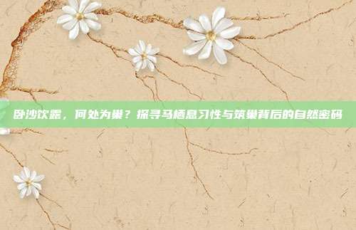 卧沙饮露，何处为巢？探寻马栖息习性与筑巢背后的自然密码