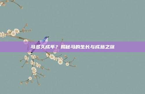马多久成年？揭秘马的生长与成熟之旅