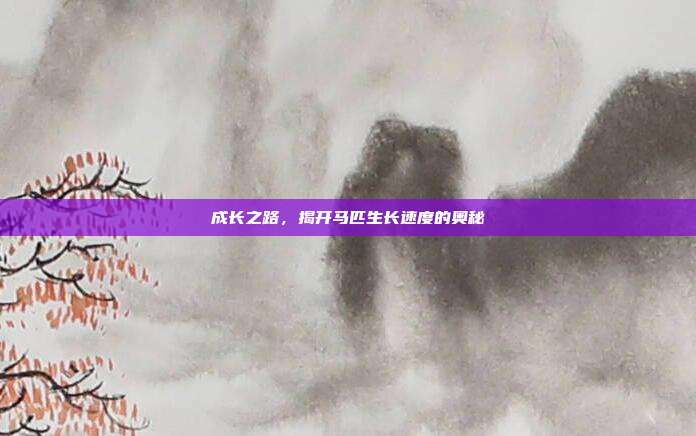 成长之路，揭开马匹生长速度的奥秘